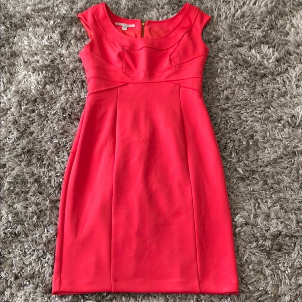 Maggy London Dress size 8